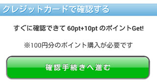 メルパラクレジットカード決済画面
